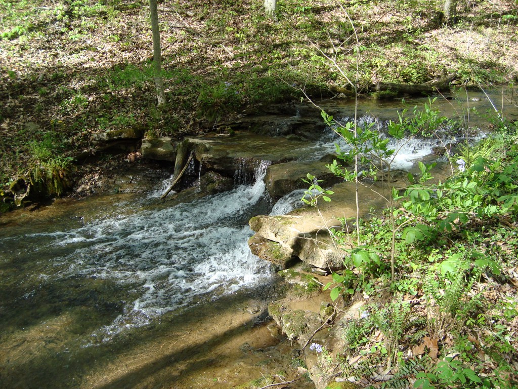 Water Flowing Down Rocks in Creek
