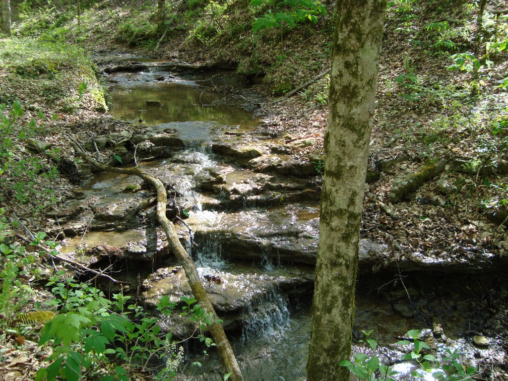 Meandering Creek